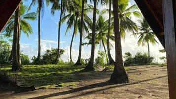 Àrea exterior de l'allotjament