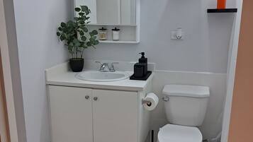 Hair dryer, bidet, towels, soap