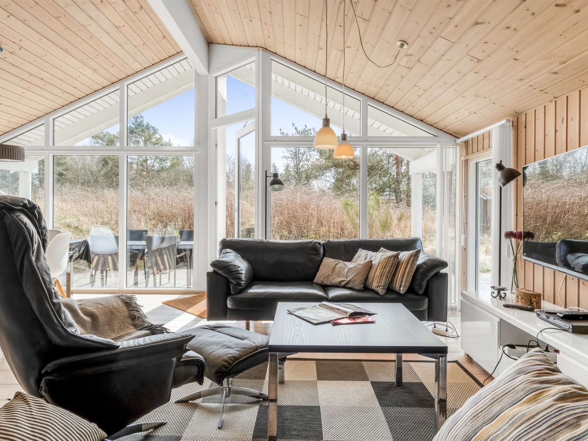 Televisión, chimenea y reproductor de DVD 