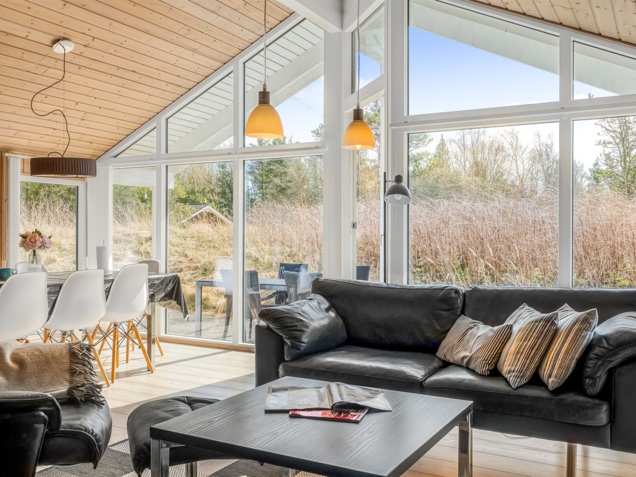 电视、壁炉、DVD 播放器