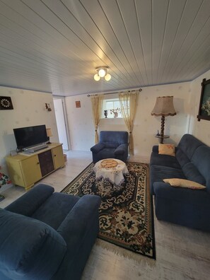 Télévision, lecteur de DVD, livres