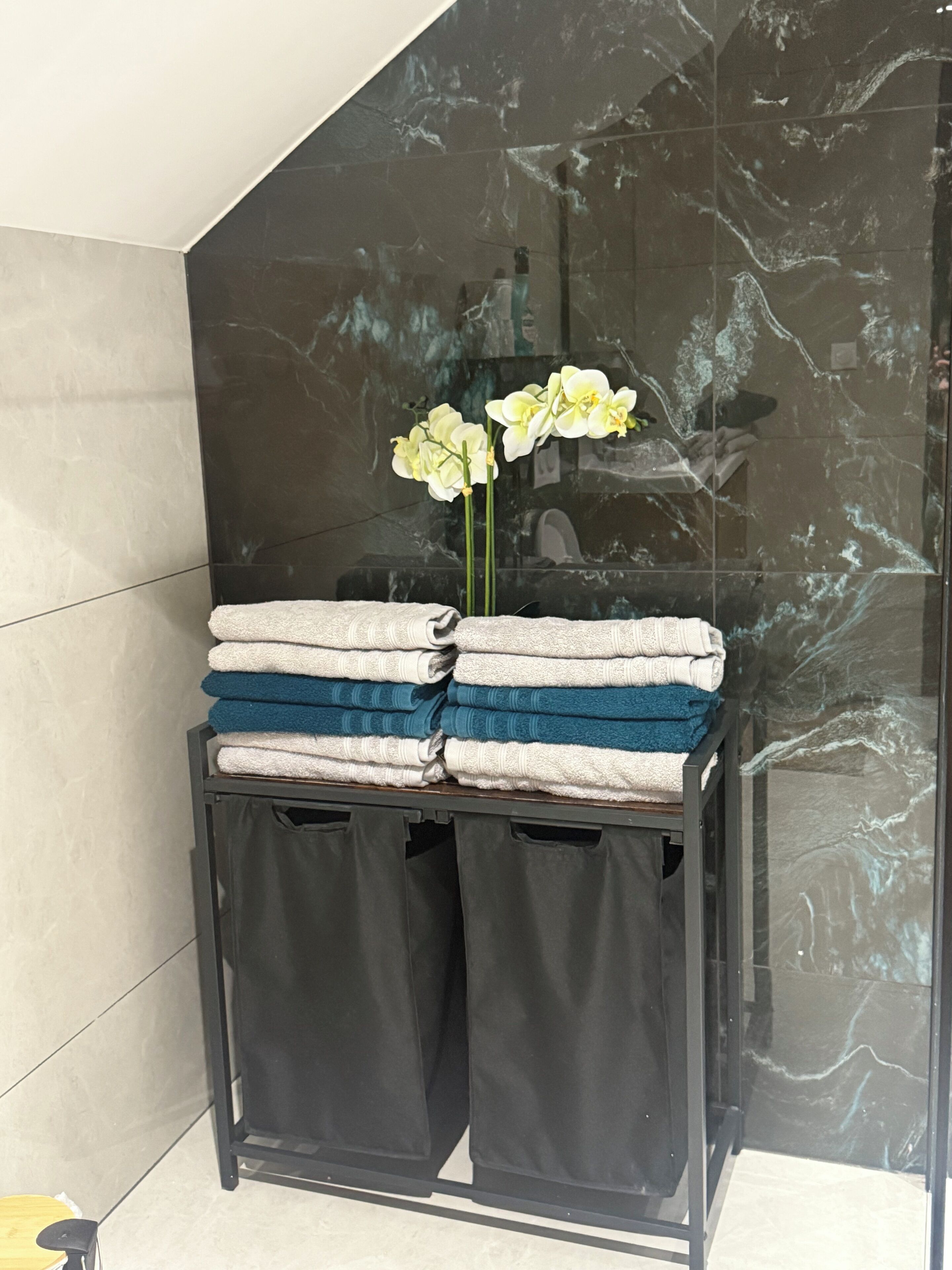 Shower, hair dryer, bidet, towels