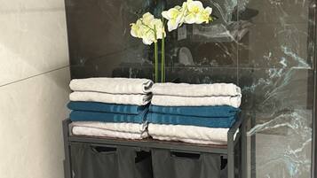 Shower, hair dryer, bidet, towels