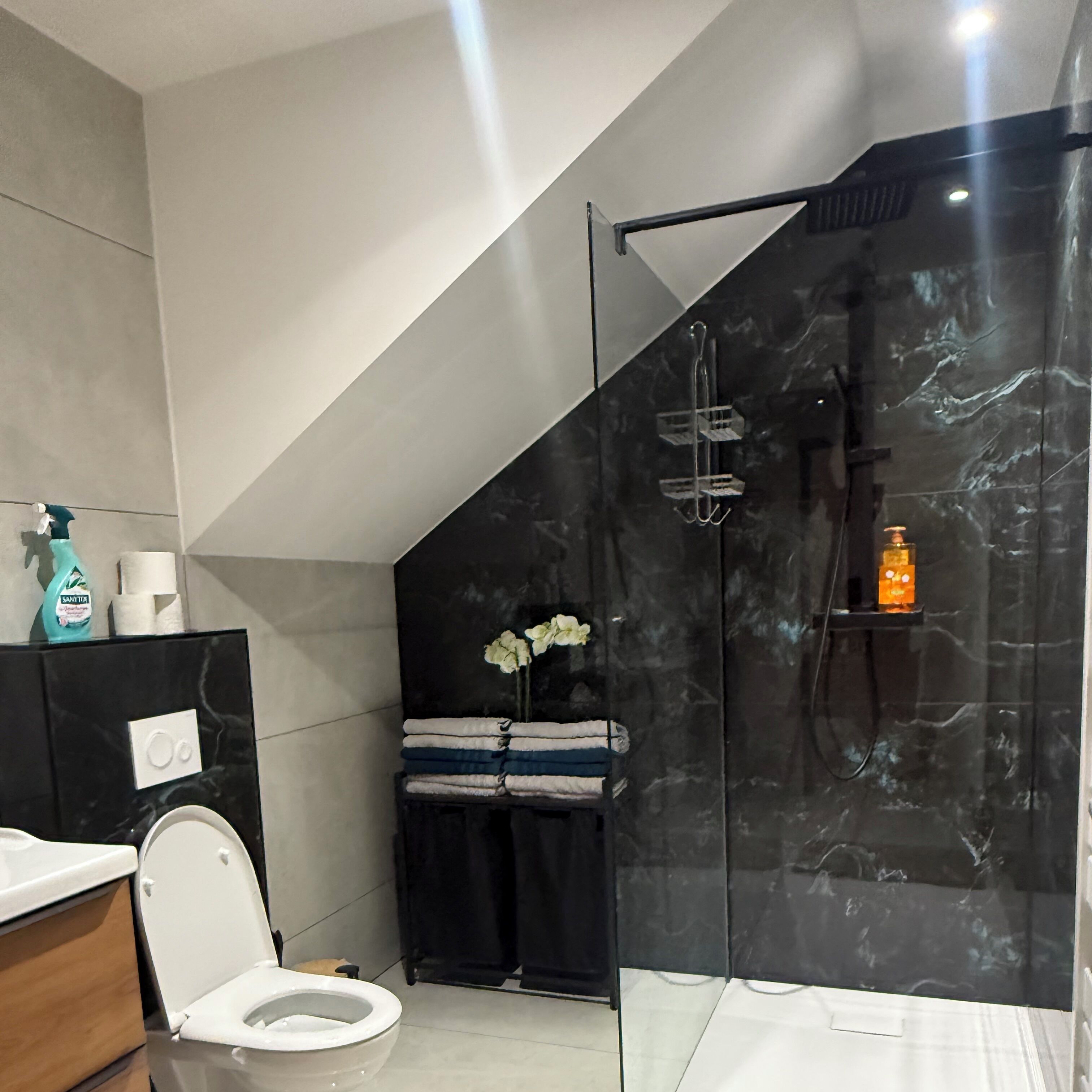 Een douche, een haardroger, een bidet, handdoeken