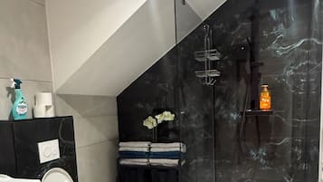 Shower, hair dryer, bidet, towels