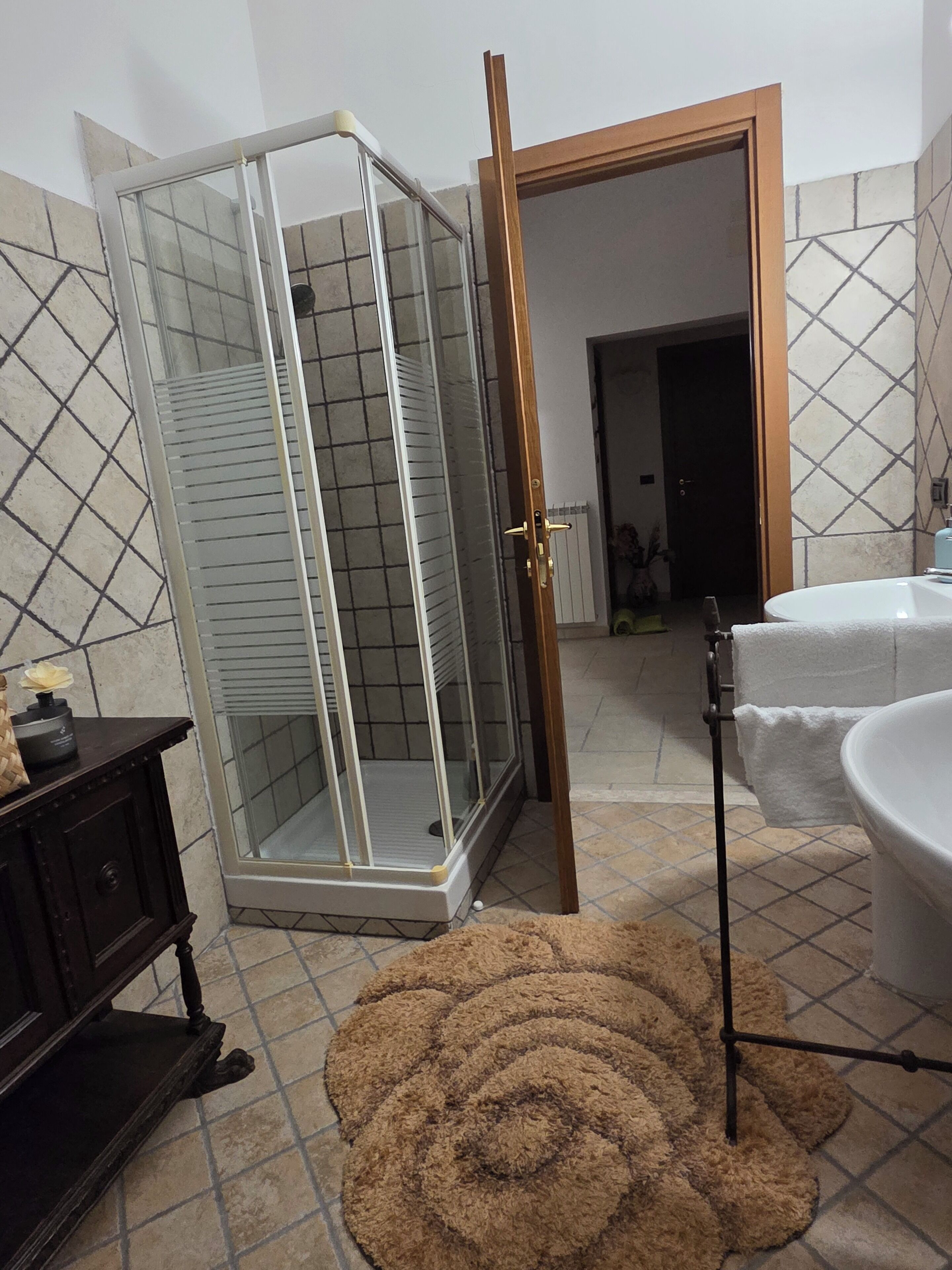 Shower, hair dryer, bidet, towels