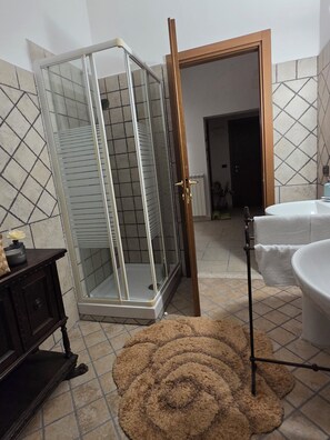Shower, hair dryer, bidet, towels