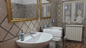 Shower, hair dryer, bidet, towels