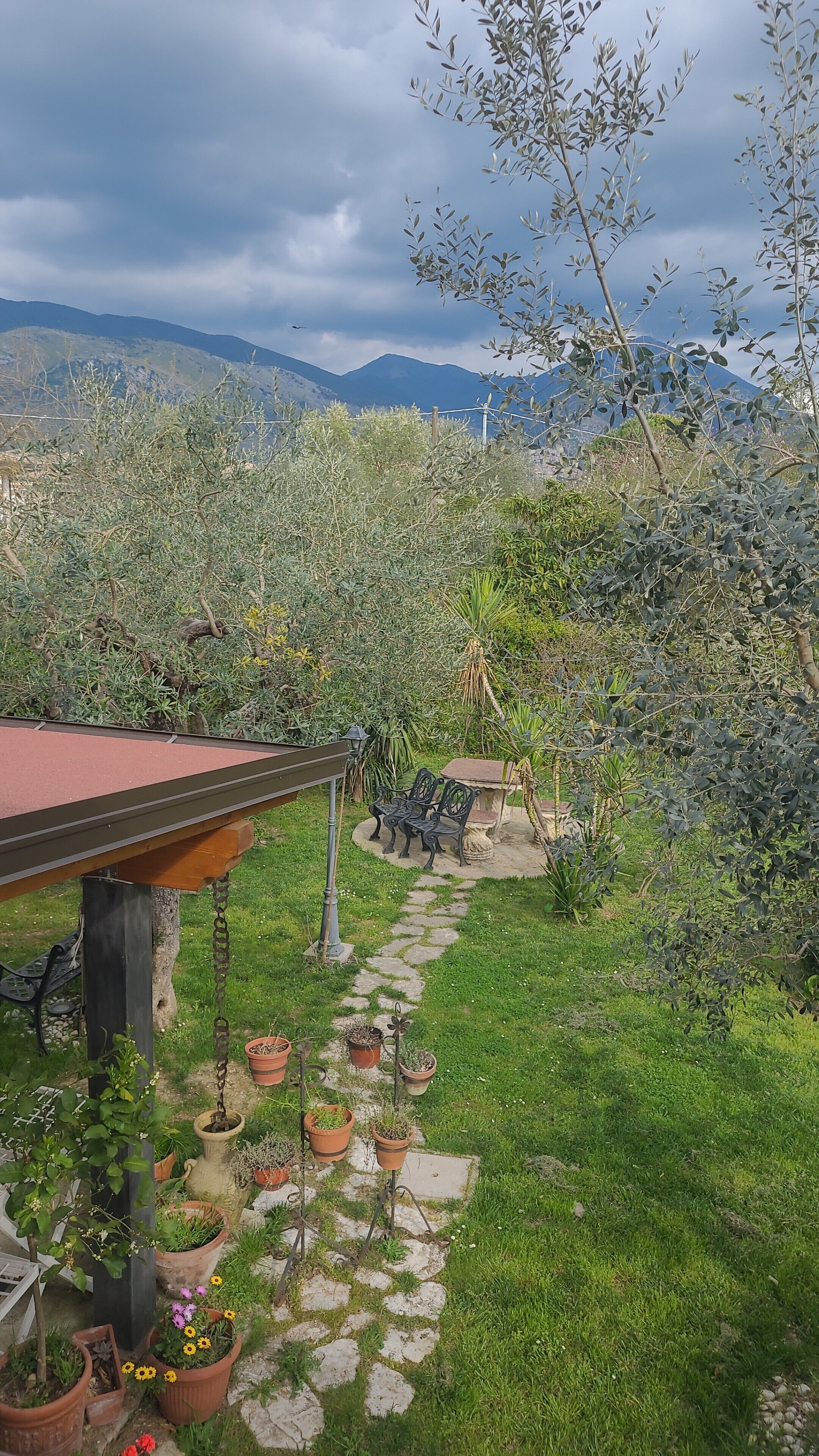 Parco della struttura