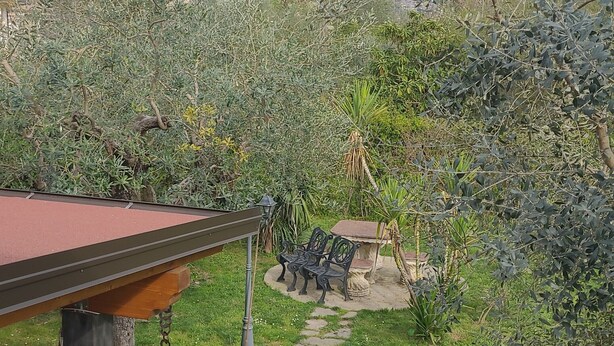 Ein Garten mit einem Kiesweg, Topfpflanzen und Gartenmöbeln.
