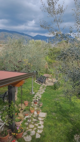Property grounds. The relaxation of Ciociaria nature at Farfalle in fiore Guesthouse