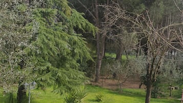 Terrain de l’hébergement