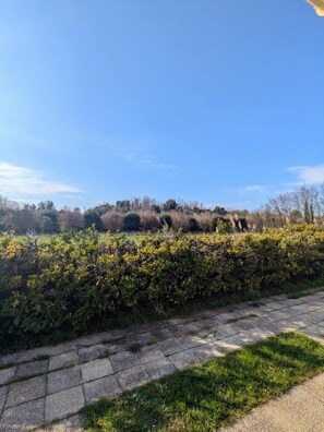 A paved pathway alongside a hedge with a clear blue sky above. - Villa Papillon (Monteux)