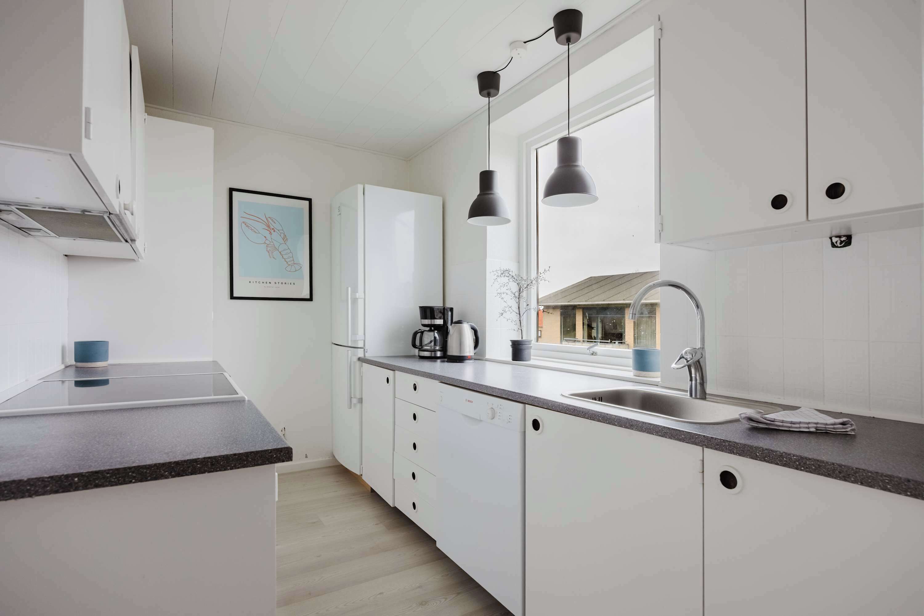 Fridge, stovetop, cookware/dishes/utensils