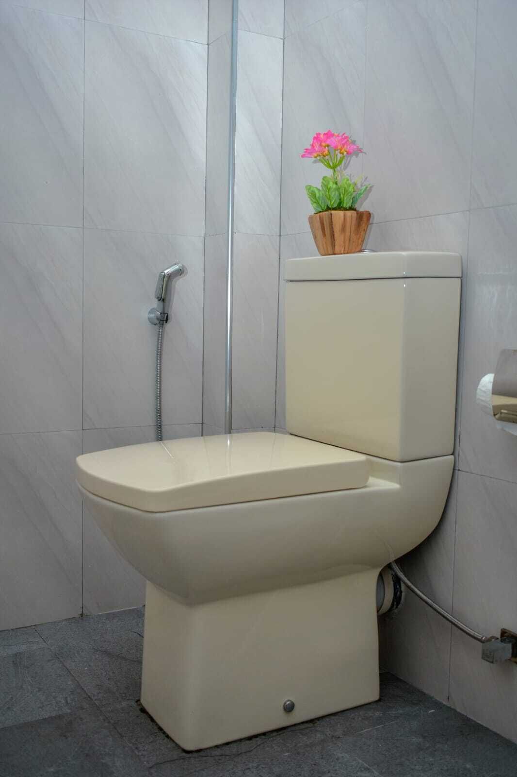 A toilet with a shower attachment, a potted plant on the tank, and a visible pipe.