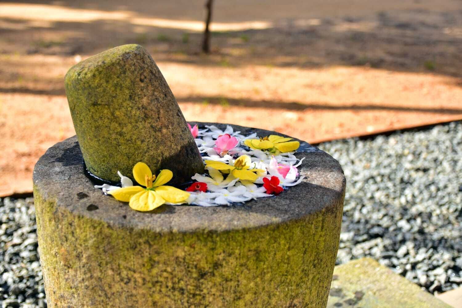A stone mortar with a pestle, surrounded by flower petals on a gravel surface.