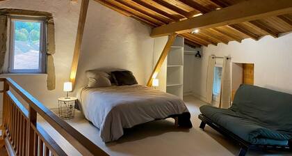 Duplex - Appartement dans bĂątiment historique, au cĆur du vieux Voreppe.