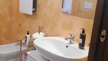 Regadera, secadora de cabello, bidet, toallas