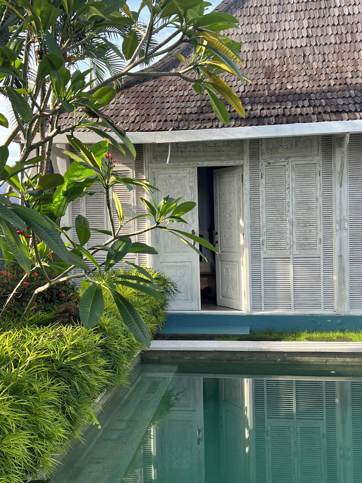 Imagen de perfil del propietario o de la propietaria