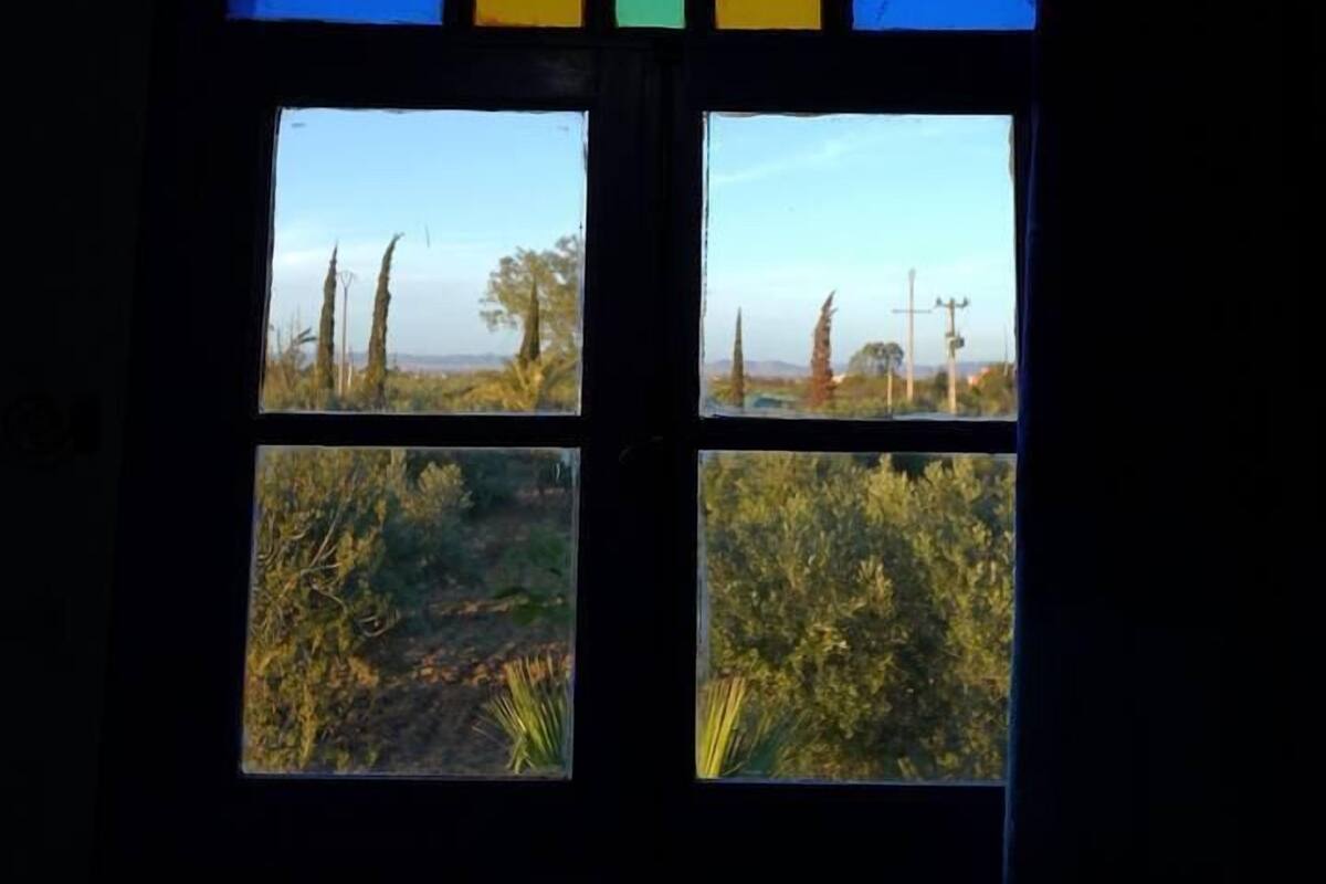 A stained glass window with a geometric design and a view of a landscape with trees and a clear sky.