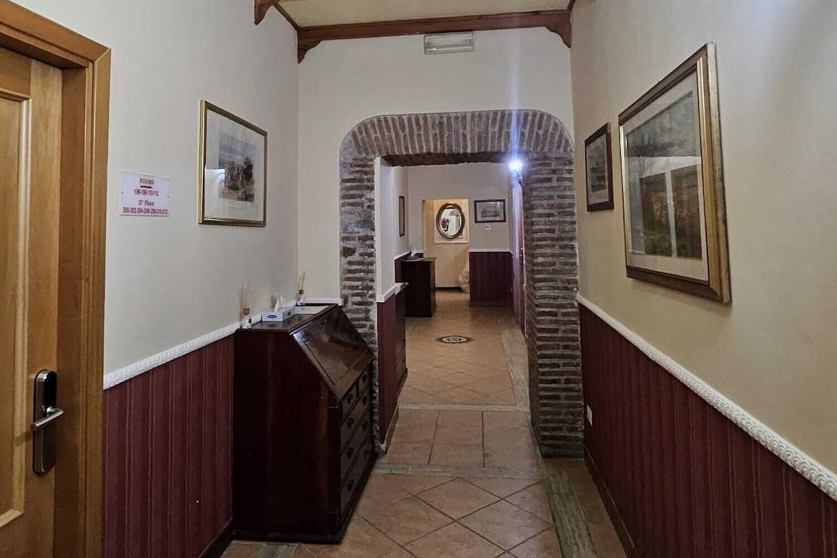 Sábanas de algodón egipcio, ropa de cama de alta calidad y cubrecamas