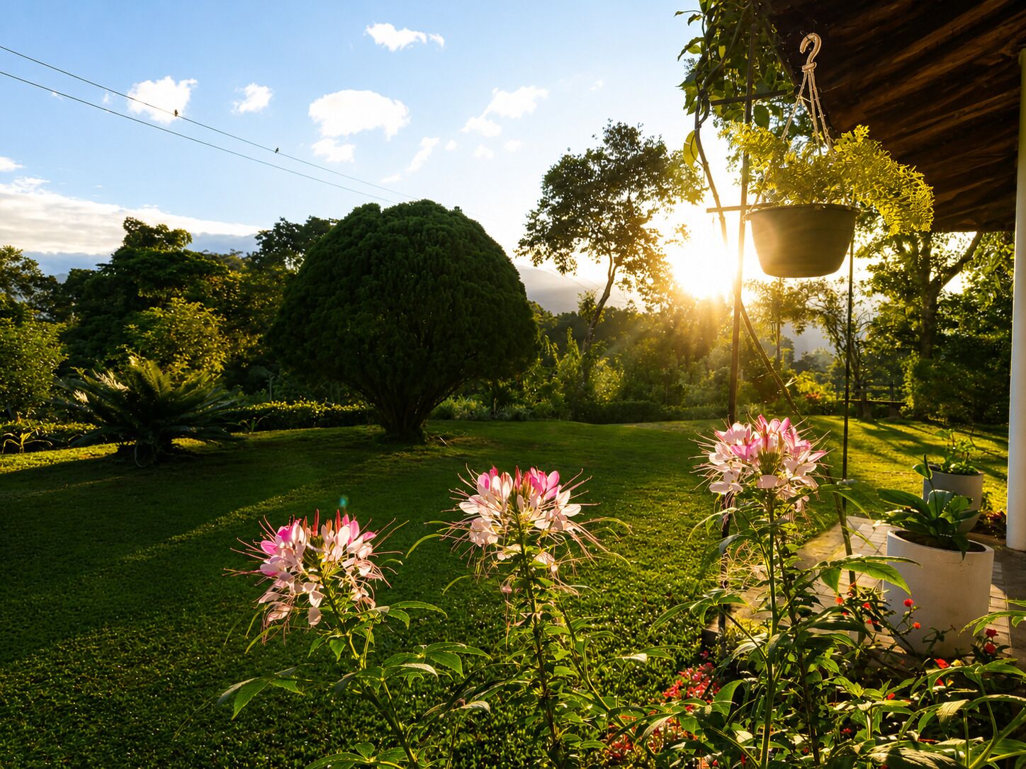 Jardin