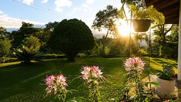 Jardin
