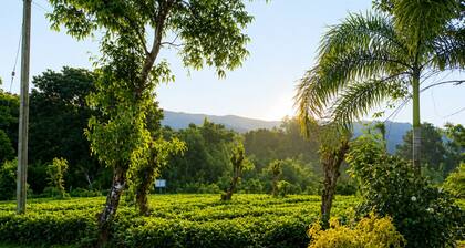 Aura Hilltop Matale