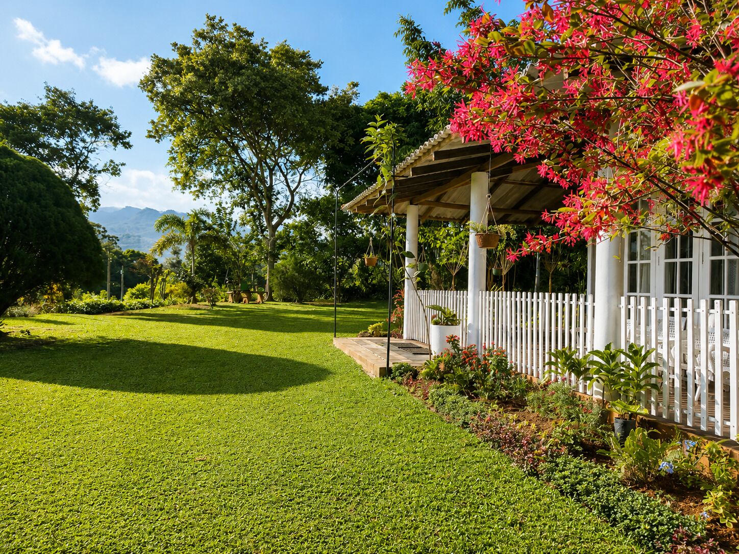 Jardin