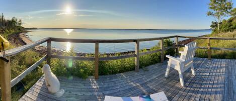 テラス / パティオ