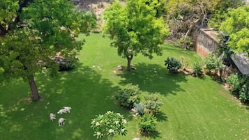 Family Quadruple Room, Garden View | Garden view