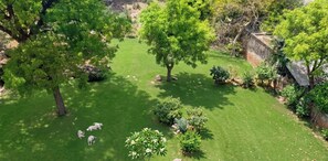 Family Quadruple Room, Garden View | Garden view - Hotel Ravi Palace Agra (Agra)