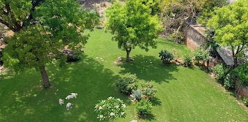 Vista al jardín