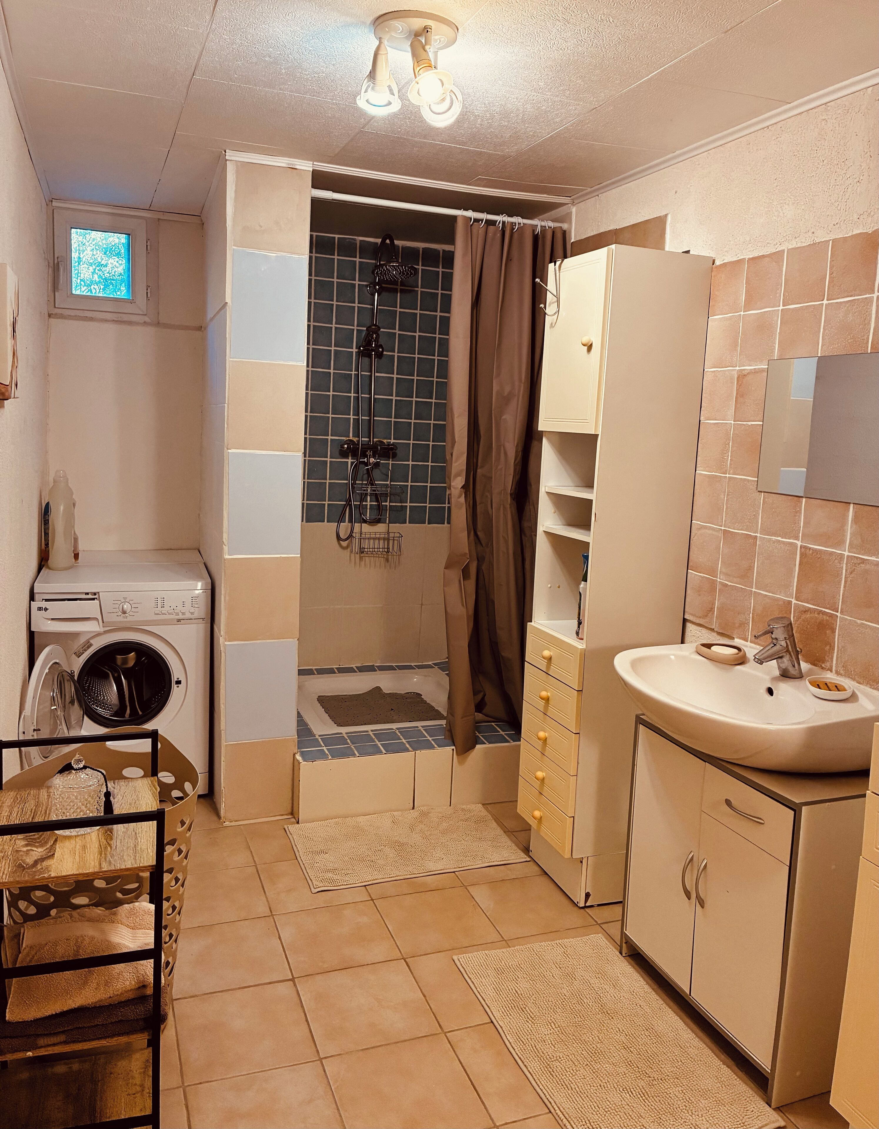 Shower, hair dryer, towels