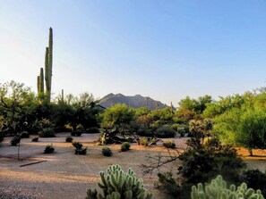Property grounds - Authentic Desert Vibes 3-bedroom house with pool & AC in charming Cave Creek (Cave Creek)