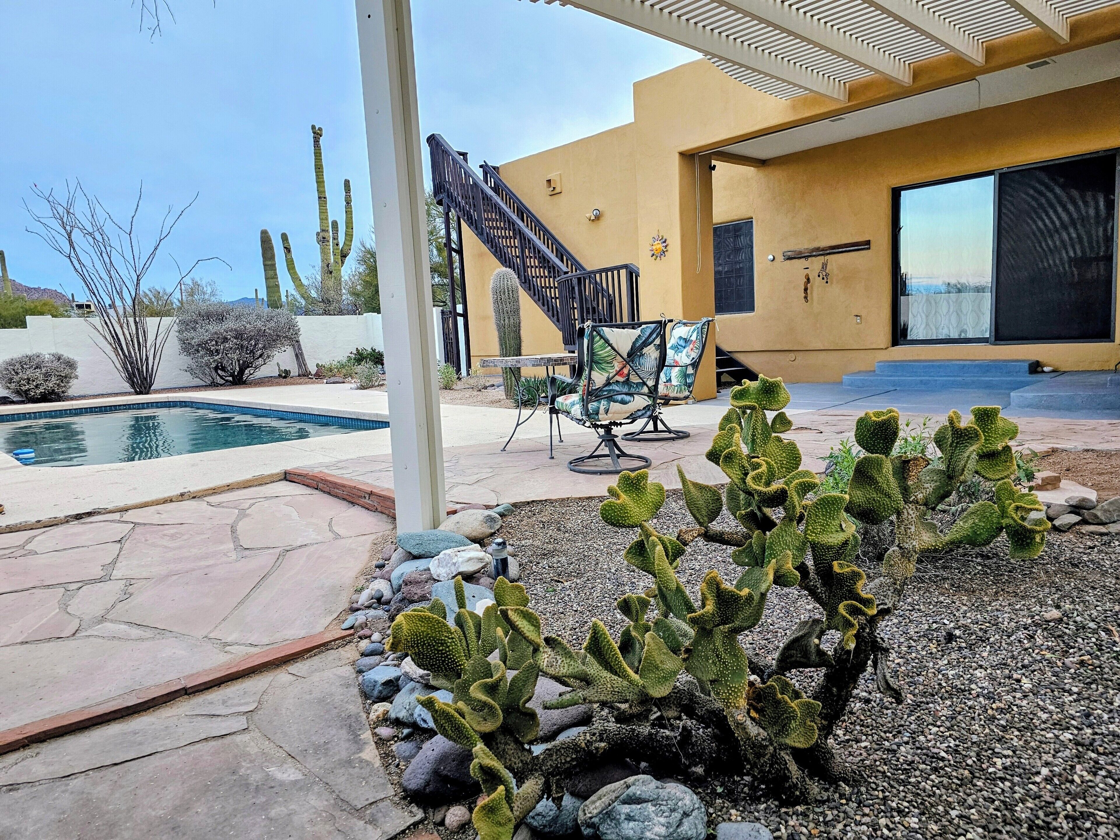 A pool area with a patio, cacti, and outdoor furniture.