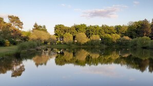 Un lago tranquilo con reflejos de árboles y un cielo despejado.