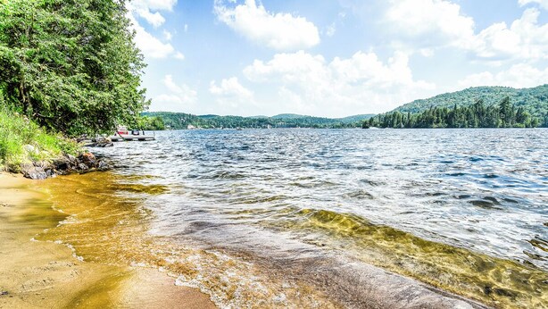 En sjö med klart vatten, en sandstrand och en skogbeklädd kulle i bakgrunden.