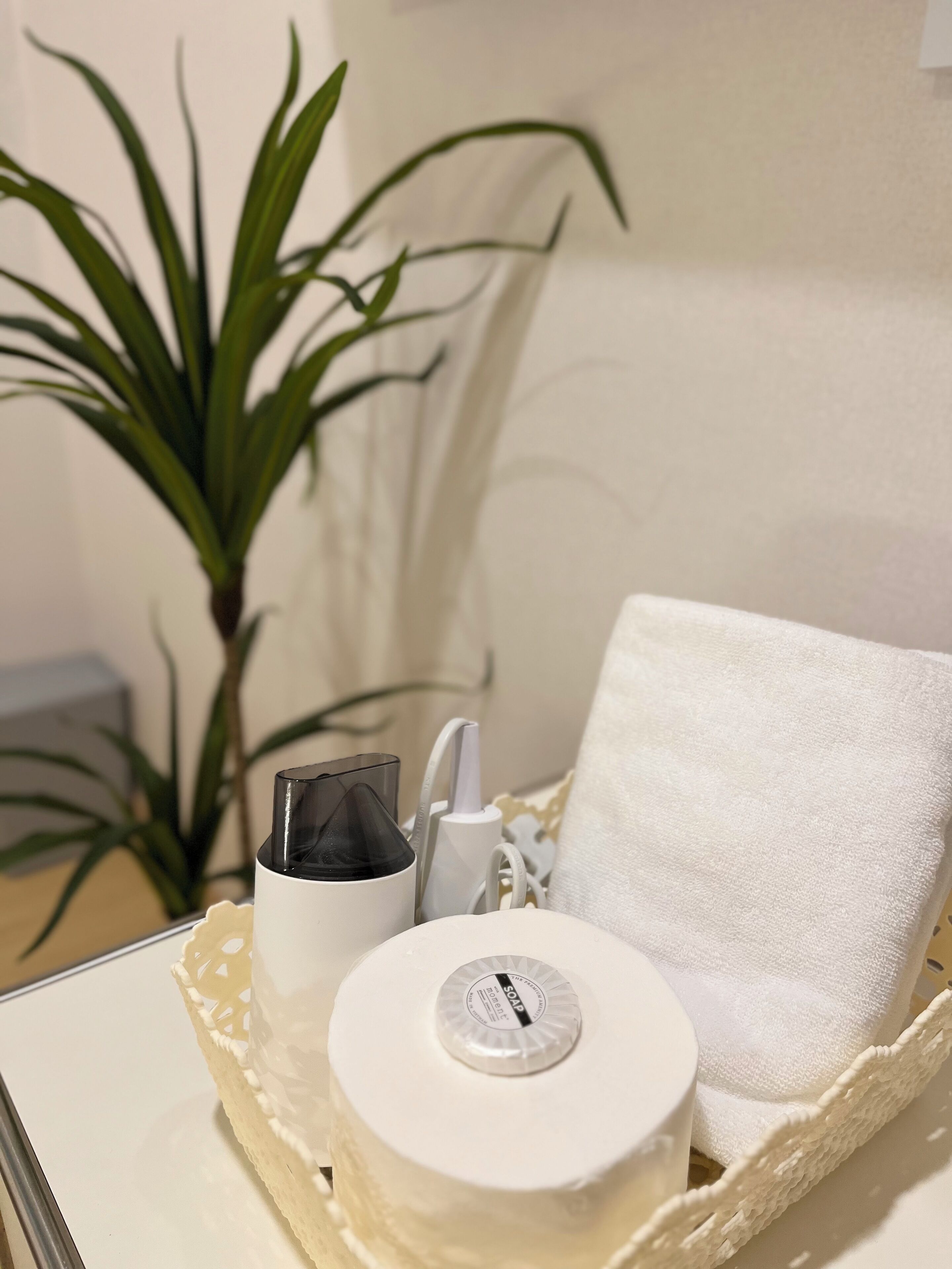 Hair dryer, towels, soap, toilet paper