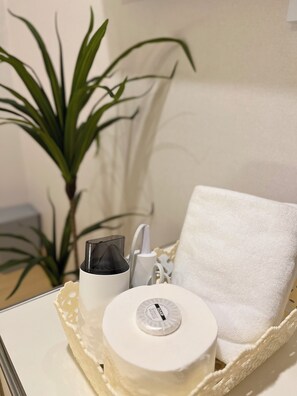 Secadora de cabello, toallas, jabón, papel de baño 