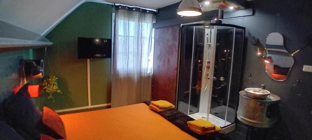 A room with a bed, a shower, a mirror, and a television.