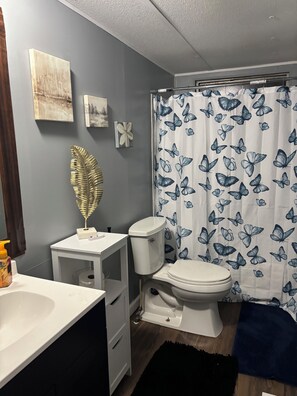 Serviettes fournies, savon, papier toilette