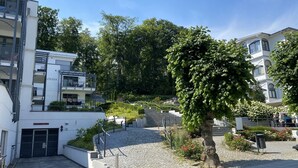 Un patio con un camino de piedra, un árbol y un edificio con el rótulo "LOUISA".