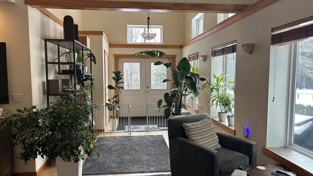 En rummelig stue med en mørkegrå sofa, et sofabord og en stor stueplante. Der er en trappe til en overetage, og en dør med et vindue øverst.