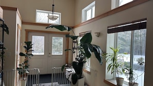 En rummelig indretning med højt til loftet, store vinduer og flere potteplanter.