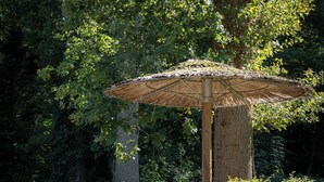 Un banc en bois et une structure en forme de parasol recouverte de chaume dans un parc.