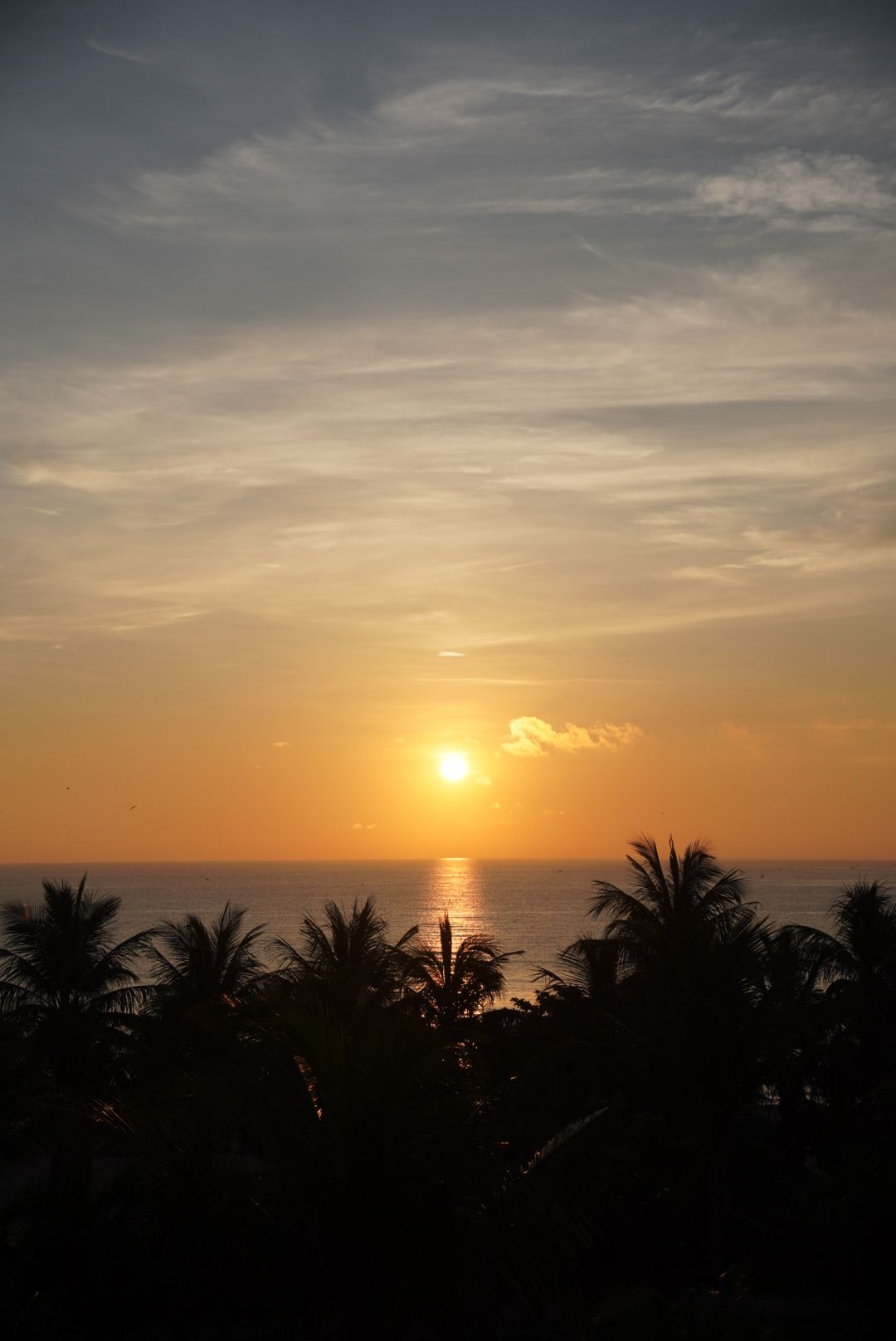 A sunset over the ocean with palm trees silhouetted against the sky.