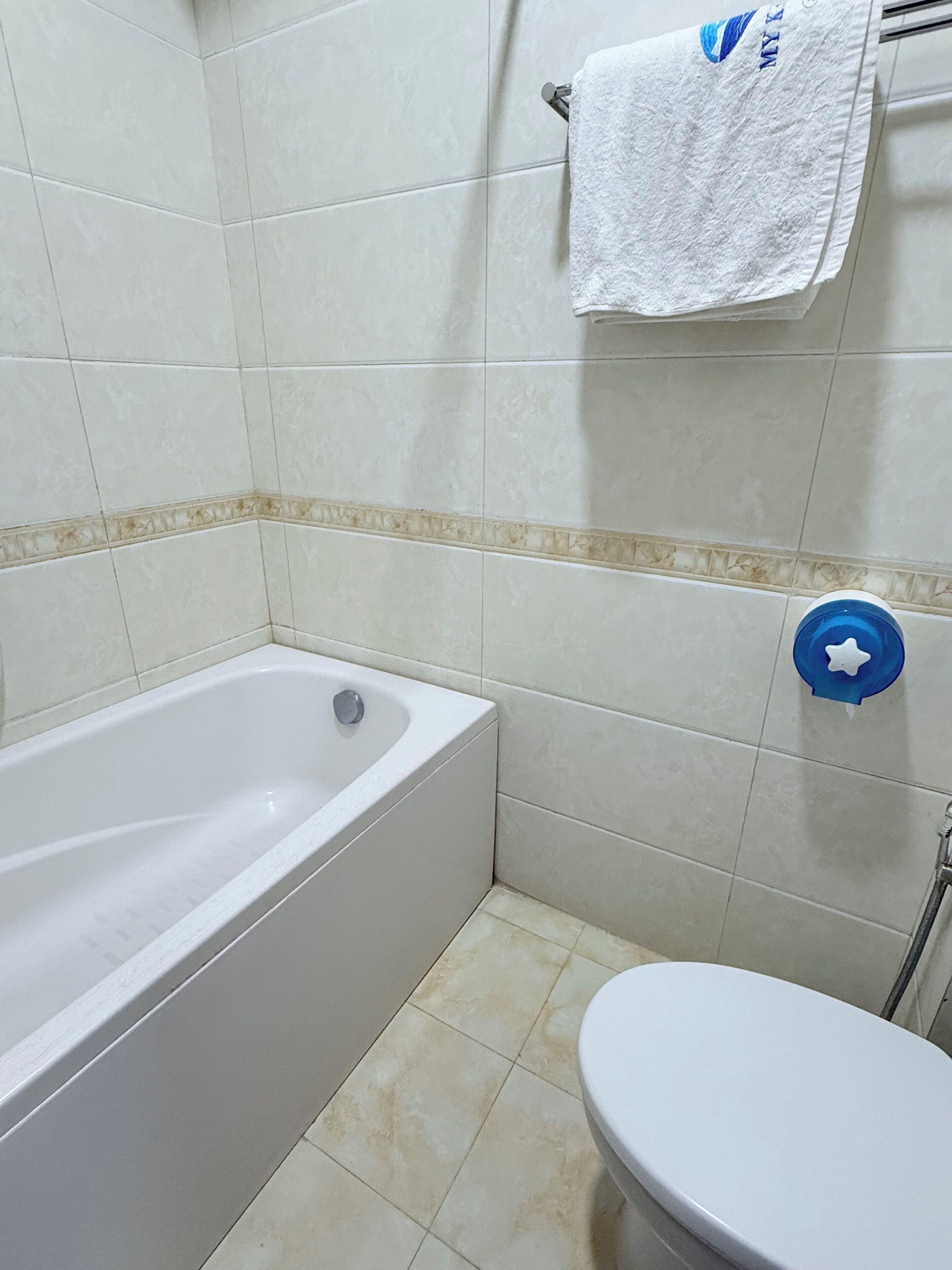 Ein Badezimmer mit Badewanne, Toilette und einem Handtuchhalter mit einem weißen Handtuch.