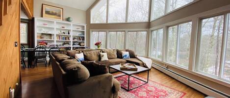 Smart TV, fireplace, books