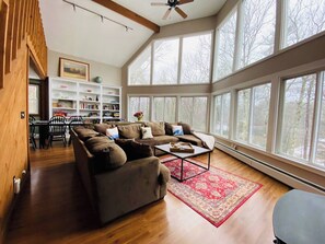 Smart TV, fireplace, books